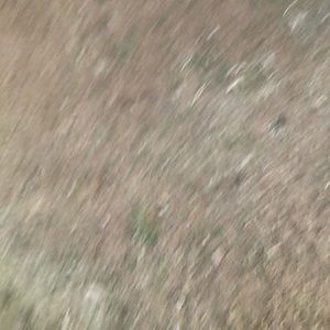 Meet your Posher, Joyce